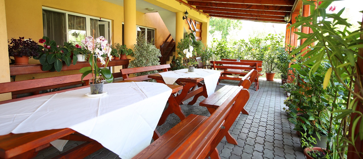 Terasa Exterioara Pensiune